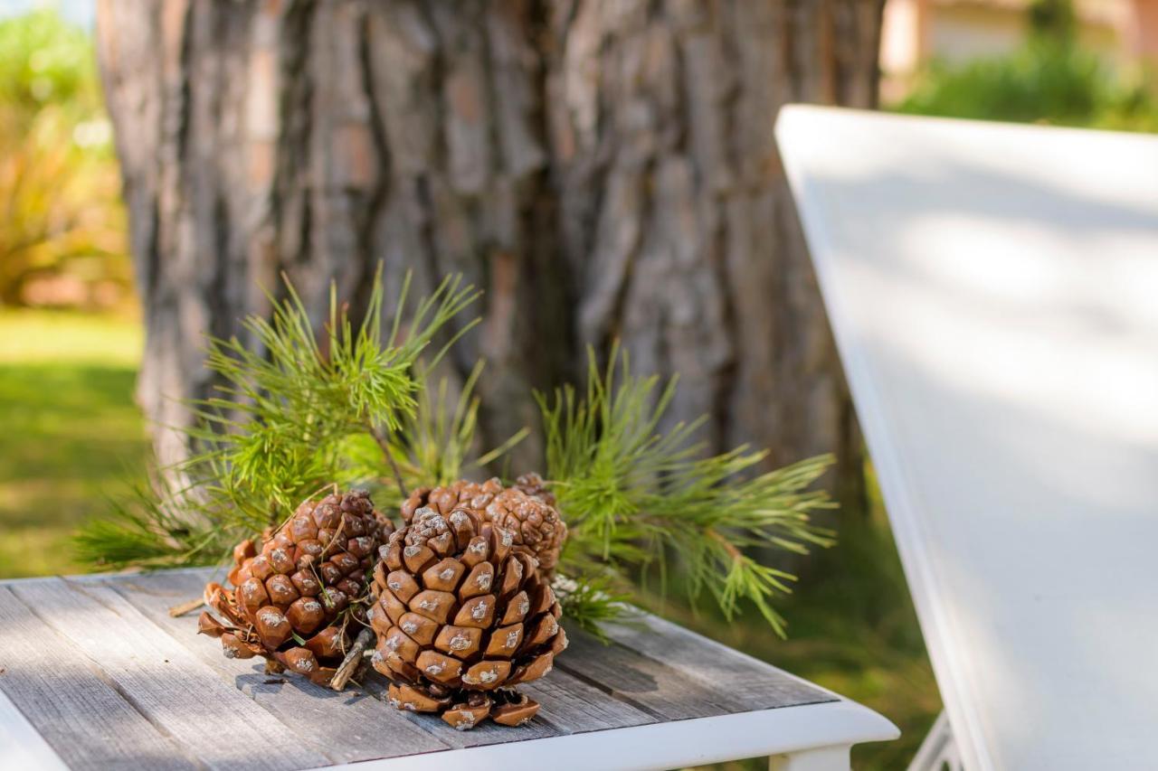 Les Pins De Santa Giulia Villa Porto-Vecchio  Bagian luar foto